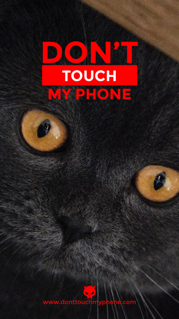 Don’t Touch My Phone Cute Cat Wallpapers Dont Touch My Phone