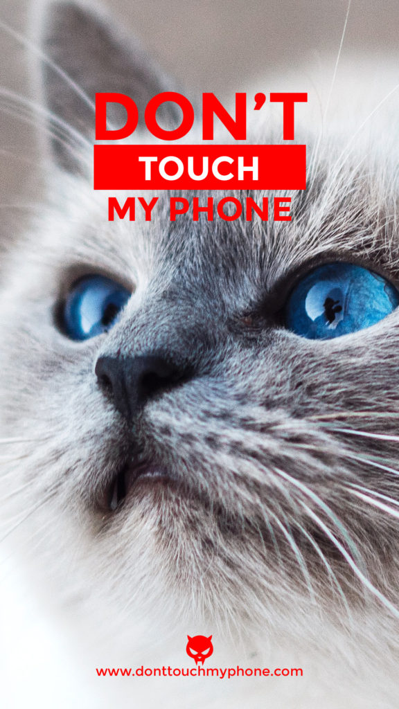 Don't Touch My Phone Cute Cat Wallpapers | Dont Touch My Phone