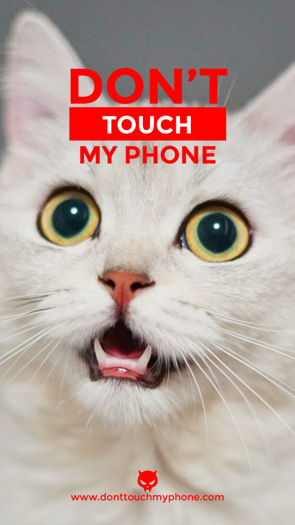 Don’t Touch My Phone Cute Cat Wallpapers | Dont Touch My Phone
