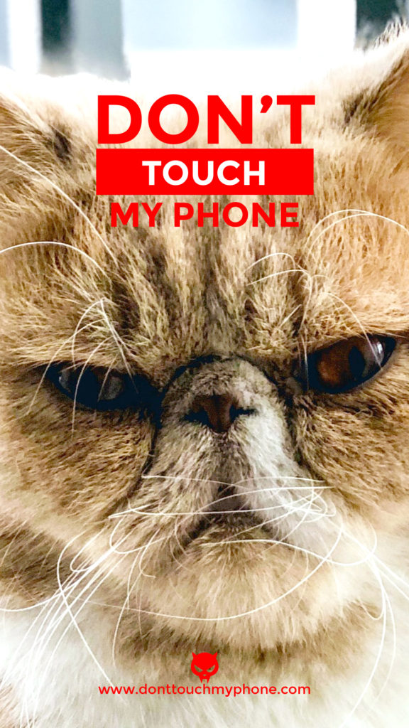 Don’t Touch My Phone Cute Cat Wallpapers | Dont Touch My Phone