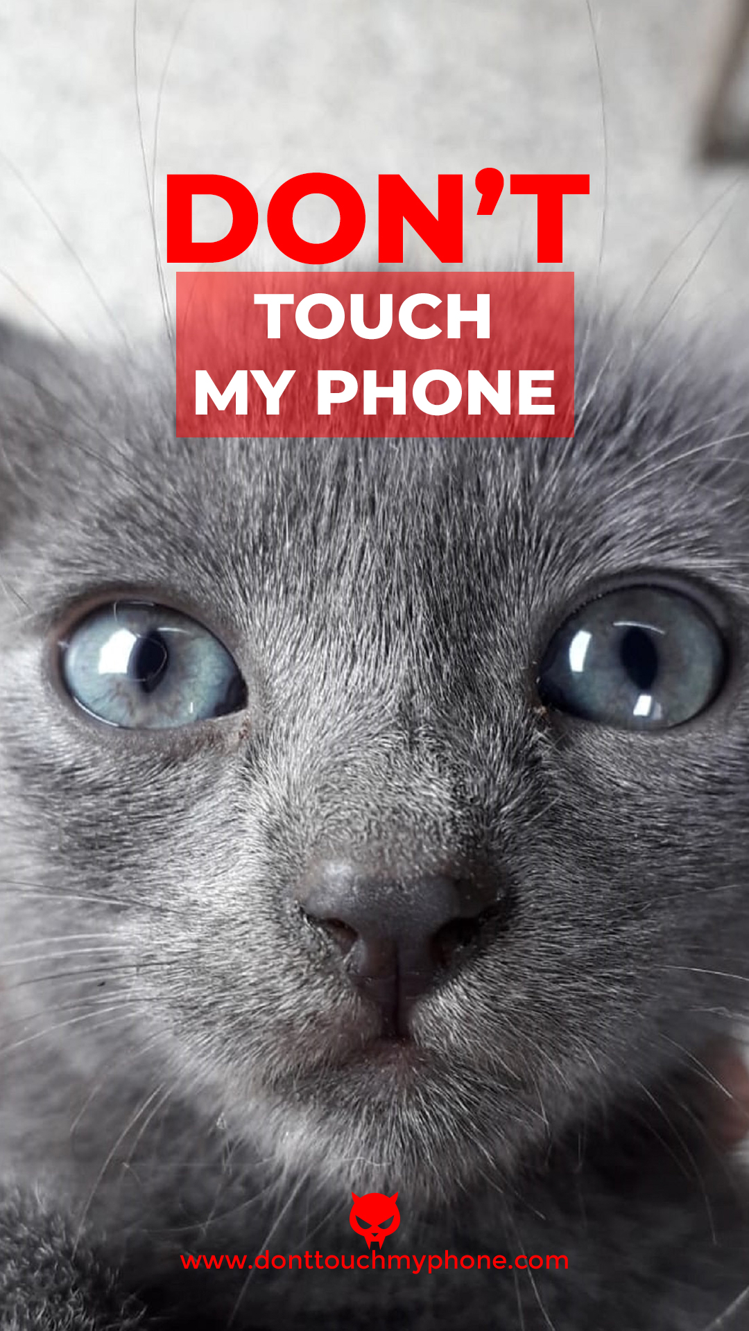 Don’t Touch My Phone Cat Wallpapers Dont Touch My Phone