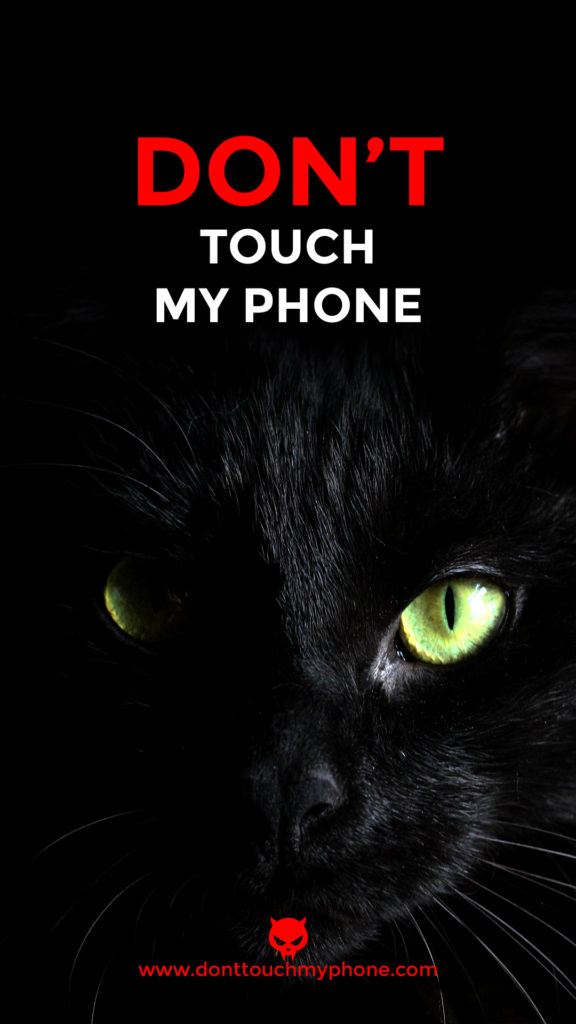 Don't Touch My Phone Cute Cat