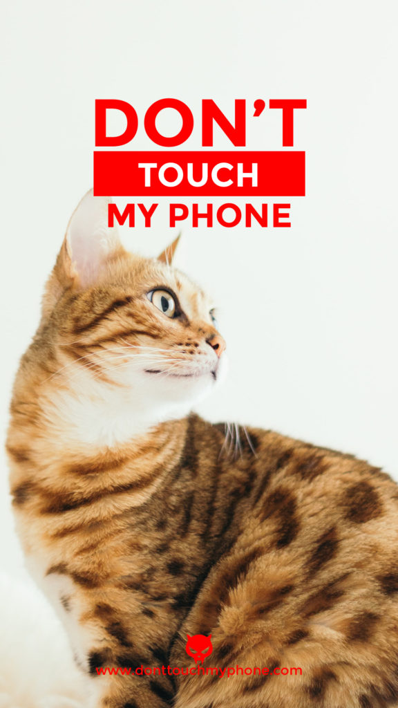 Don't Touch My Phone Cute Cat Wallpapers | Dont Touch My Phone