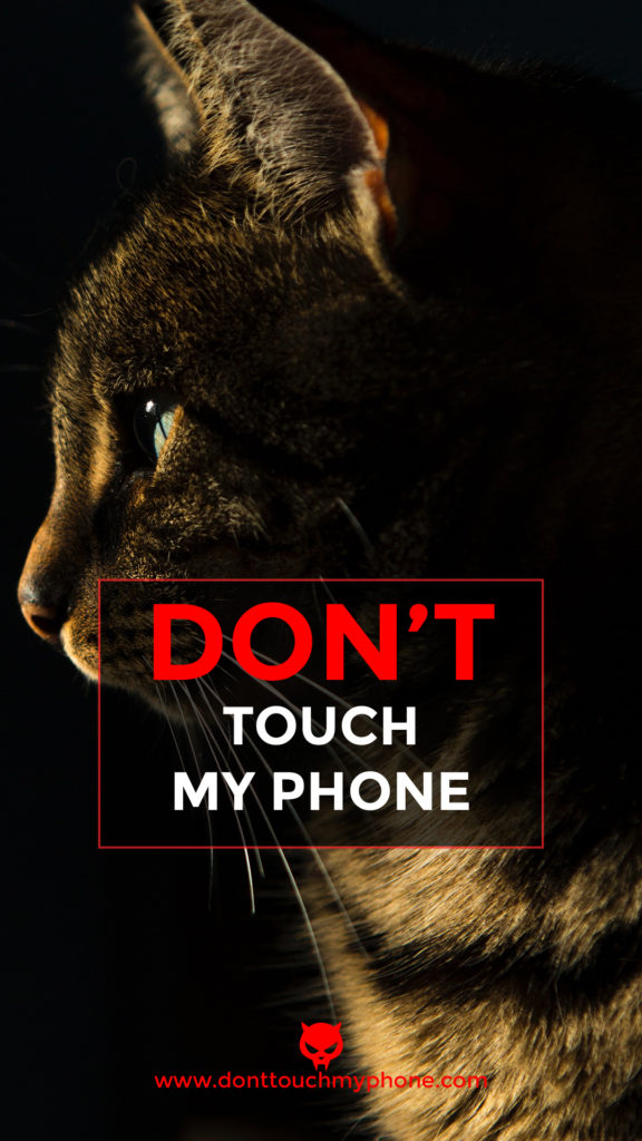 Don’t Touch My Phone Cute Cat Wallpapers Dont Touch My Phone