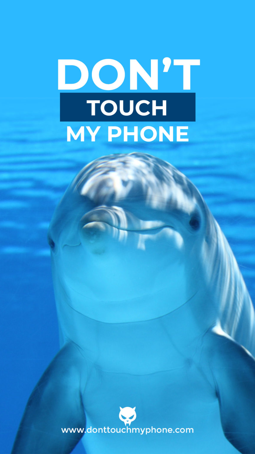 Don’t Touch My Phone Cute Animal Wallpapers | Dont Touch My Phone
