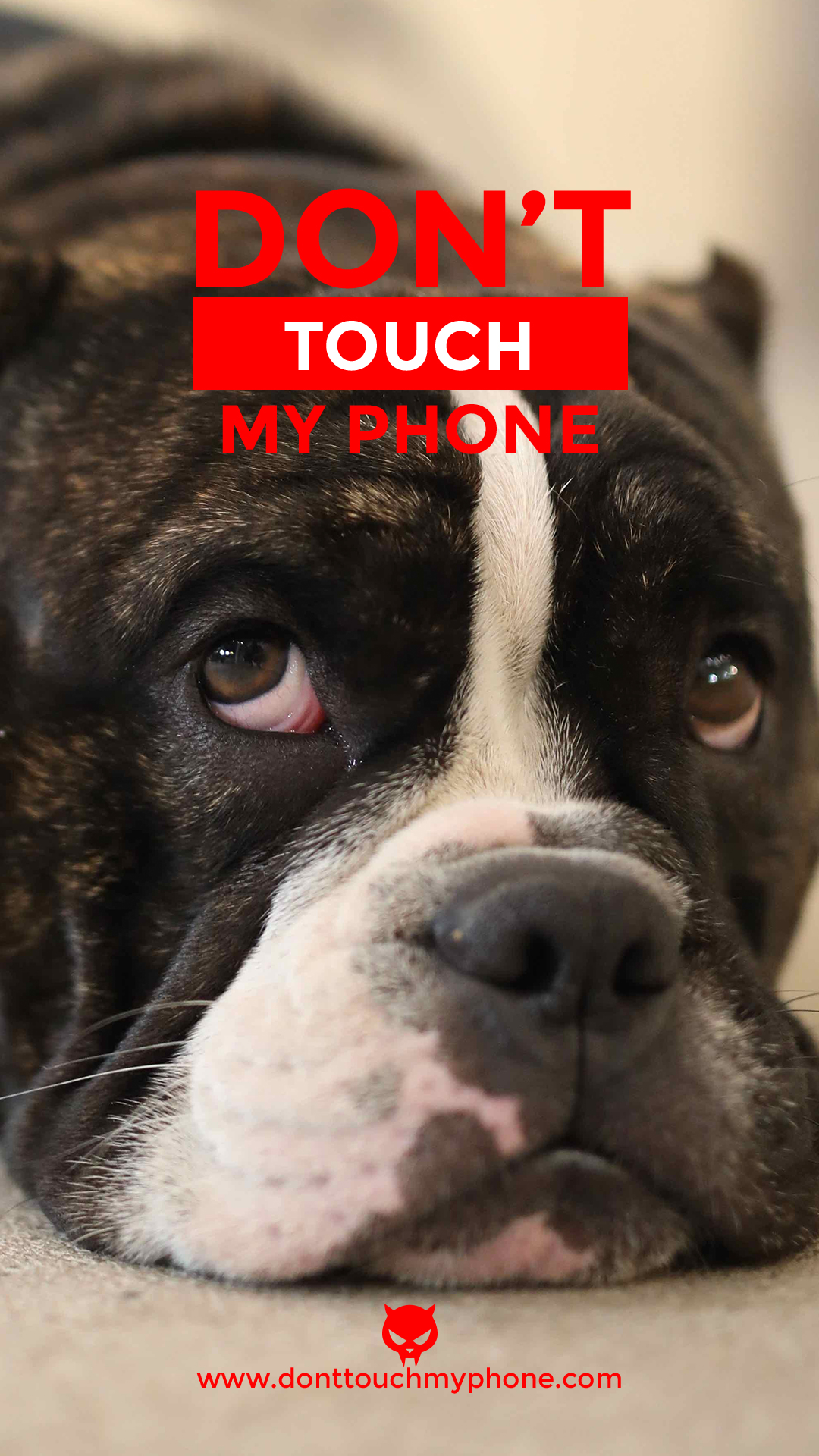 Cute Don’t Touch My Phone Dog Wallpapers Dont Touch My Phone