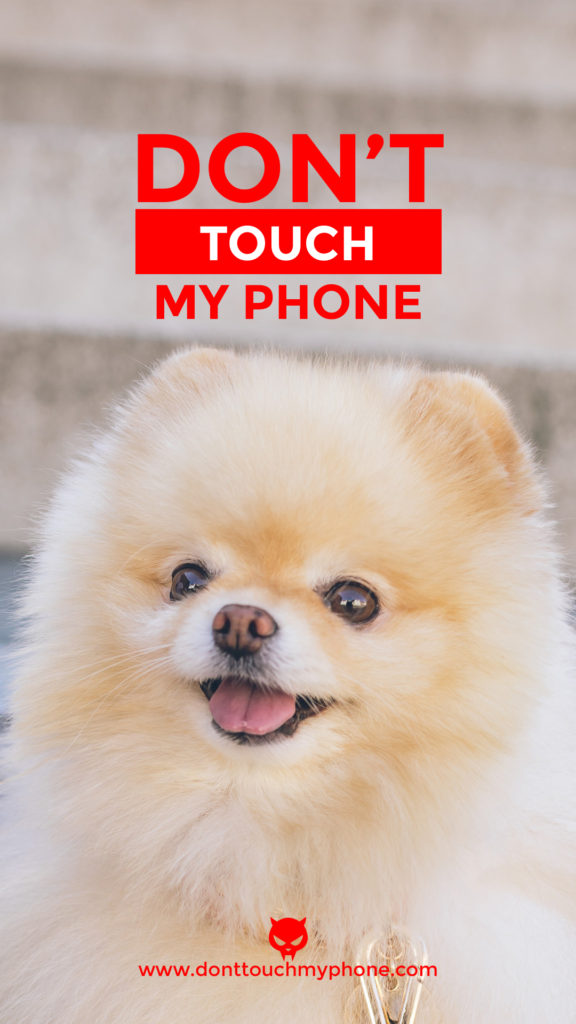 Don’t Touch My Phone Cute Dog Wallpapers | Dont Touch My Phone