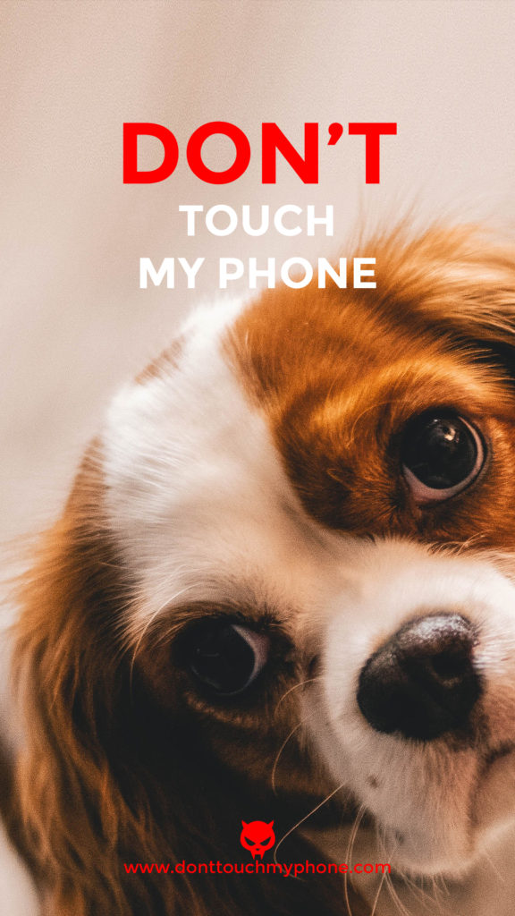 Don’t Touch My Phone Cute Dog Wallpapers Dont Touch My Phone
