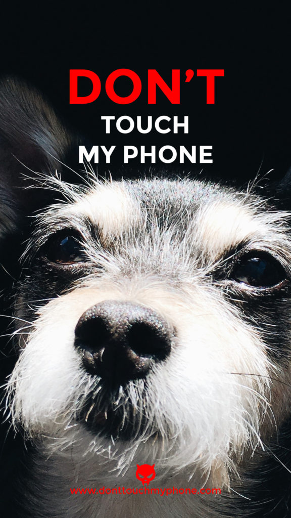Don’t Touch My Phone Cute Dog Wallpapers Dont Touch My Phone