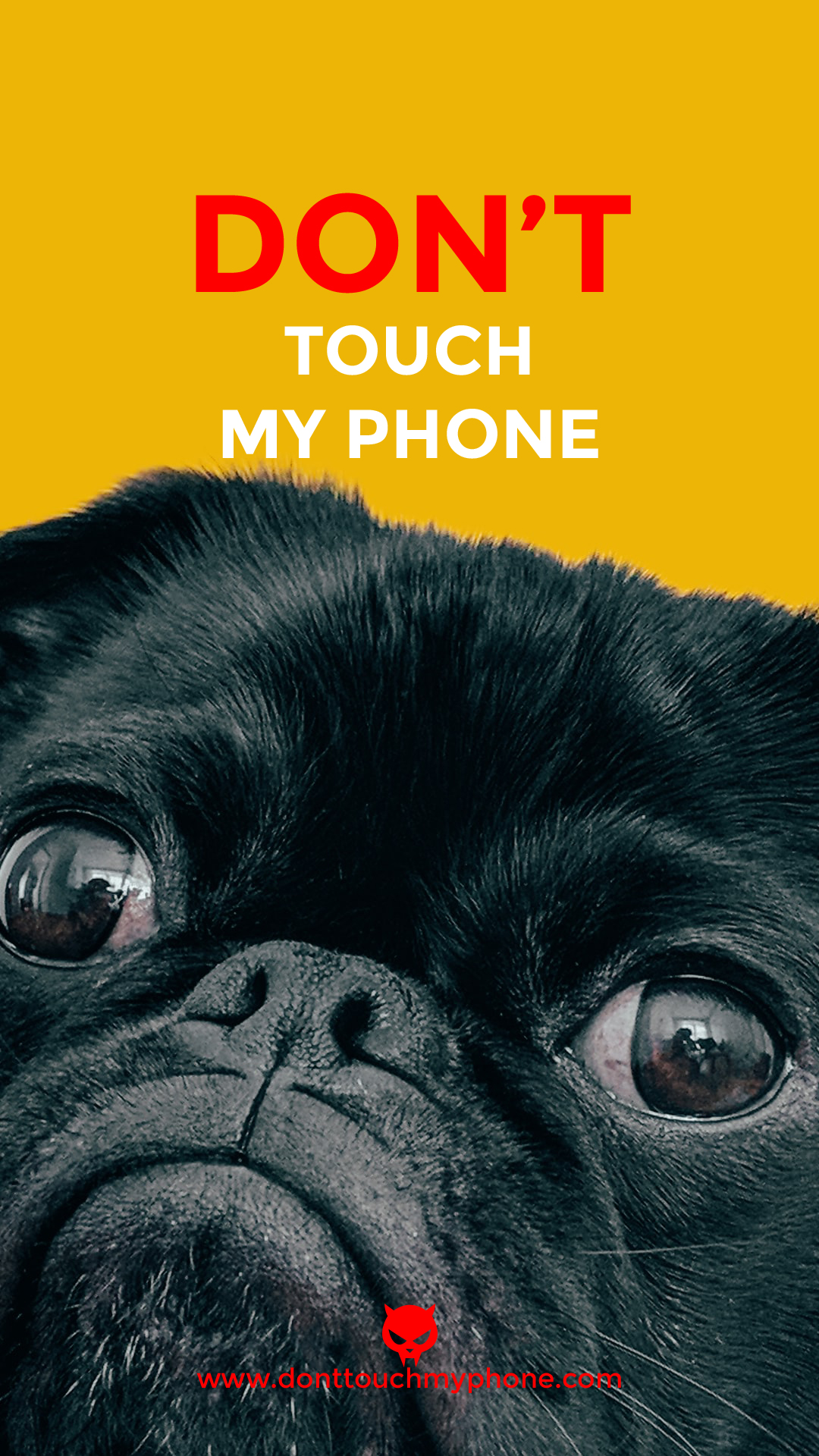 Cute Don’t Touch My Phone Dog Wallpapers | Dont Touch My Phone